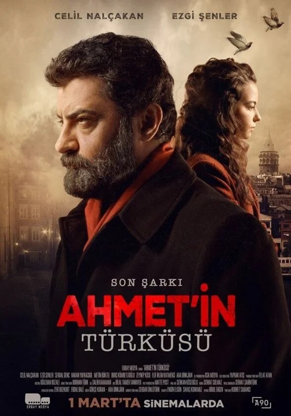 Ahmetin Türküsü
