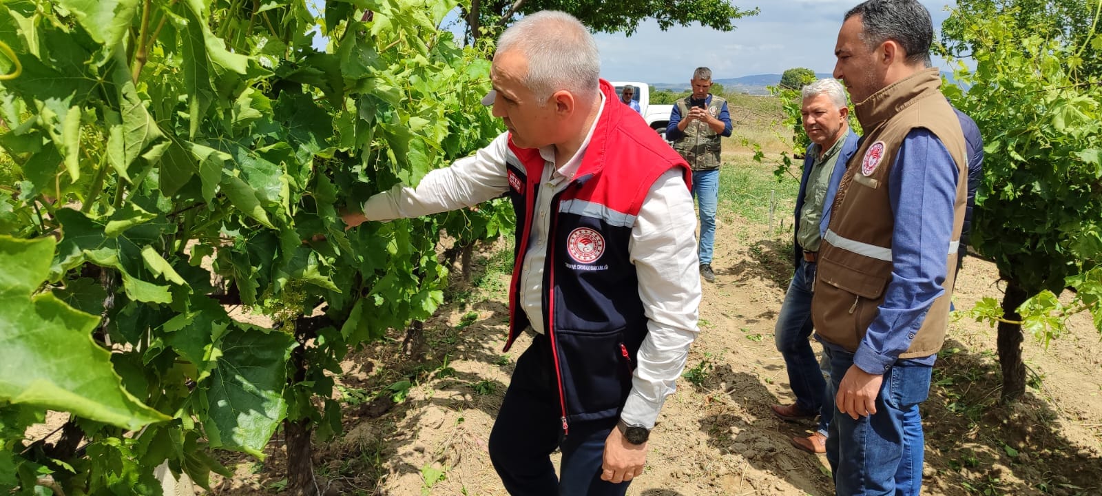 Dolu Yağışında Hasra Tespiti