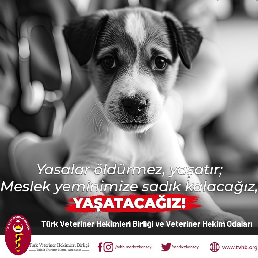 Meslek Yeminimize Bağlı Kalacağız, Yaşatacağız (2)