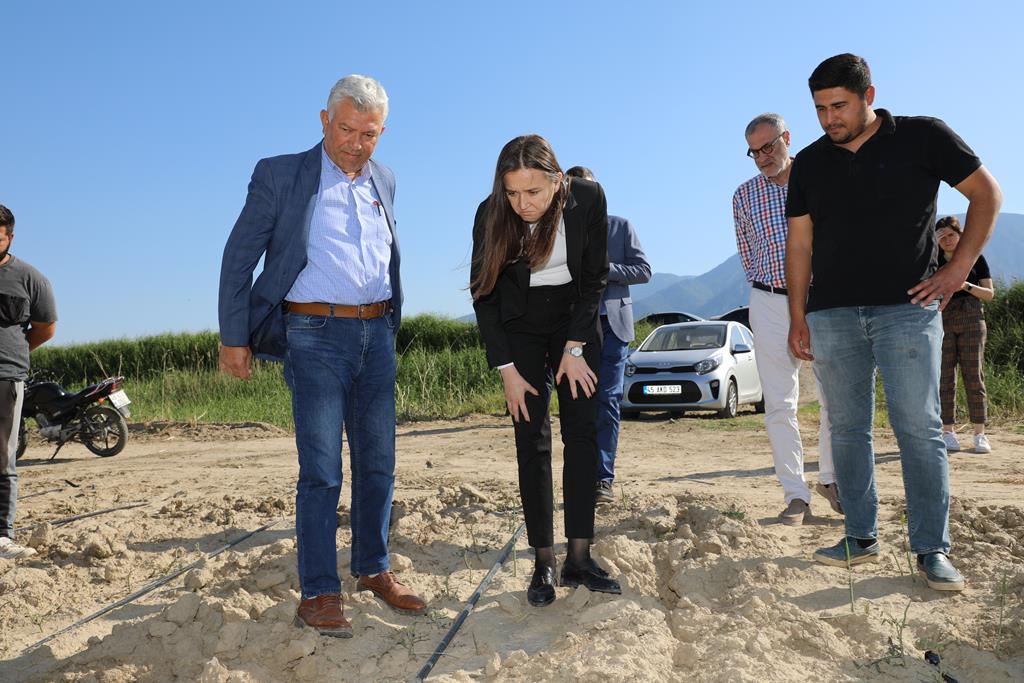 Durbay Bağlarda Dolu Vuran Ürünleri Inceledi (2)