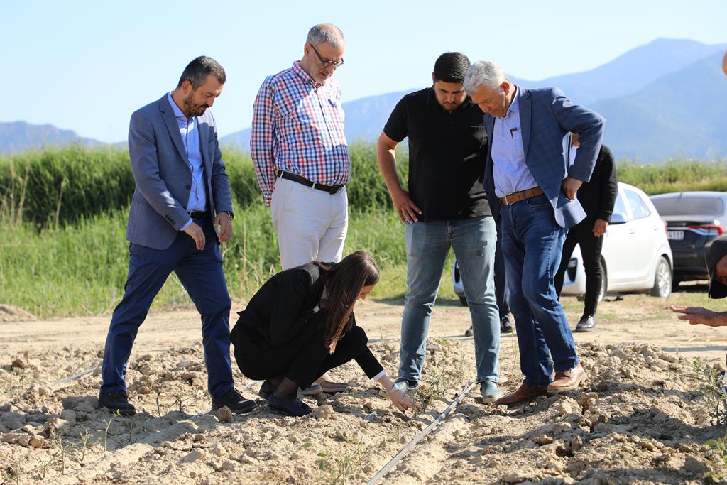 Durbay Bağlarda Dolu Vuran Ürünleri Inceledi (5)