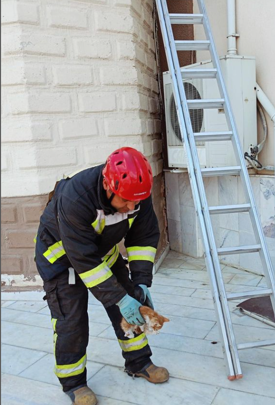 Manisa Itfaiye Duvar Arasına Sıkışan Kediyi Kurtardi