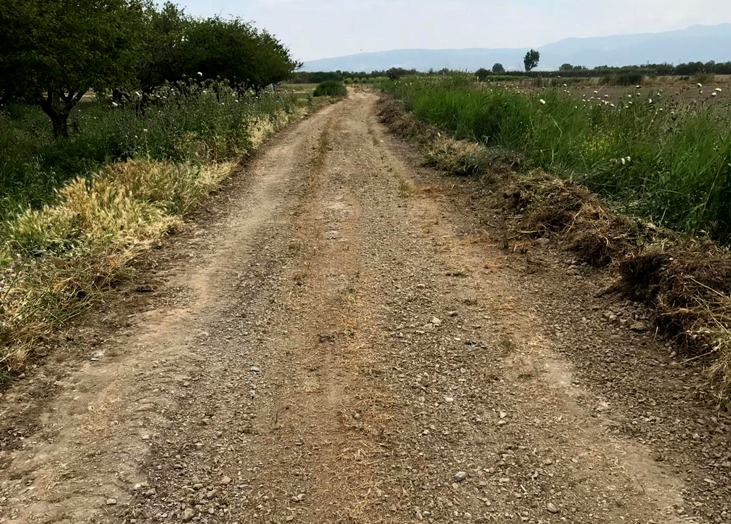 Şehzadeler'de Çiftçiler Için Çalışmalara Devam Ediyor (2)