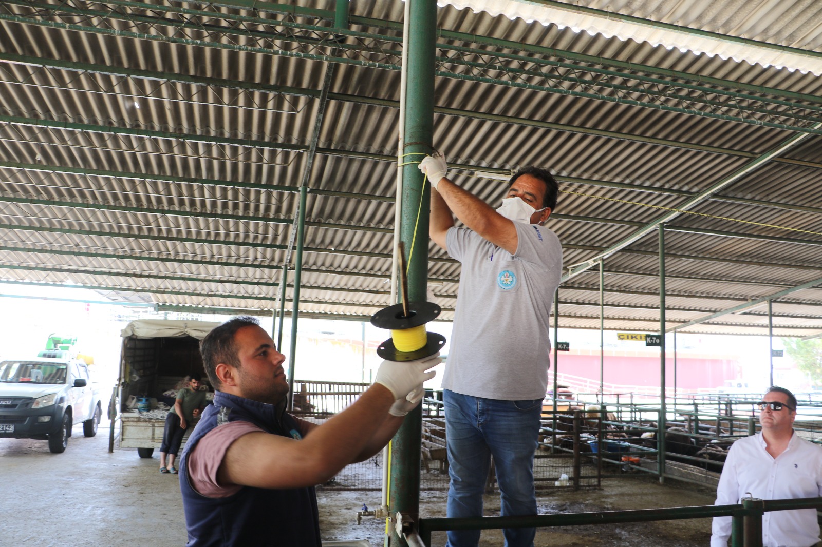 Kurbanlık Satış Ve Mezbahalarda Ilaçlama Yapılıyor (5)