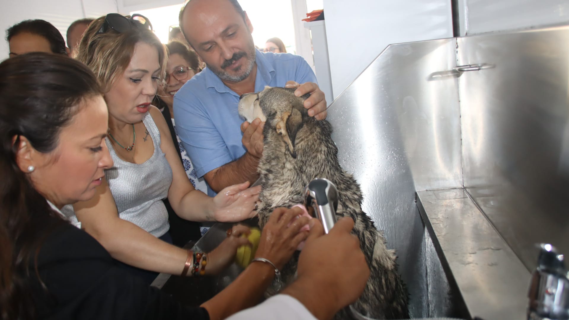 4 Ekim Sokak Hayvanlarını Koruma Günü (5)