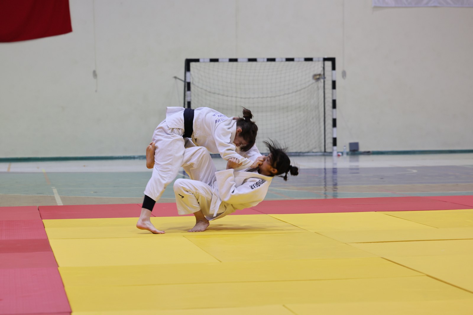 Judo (4)