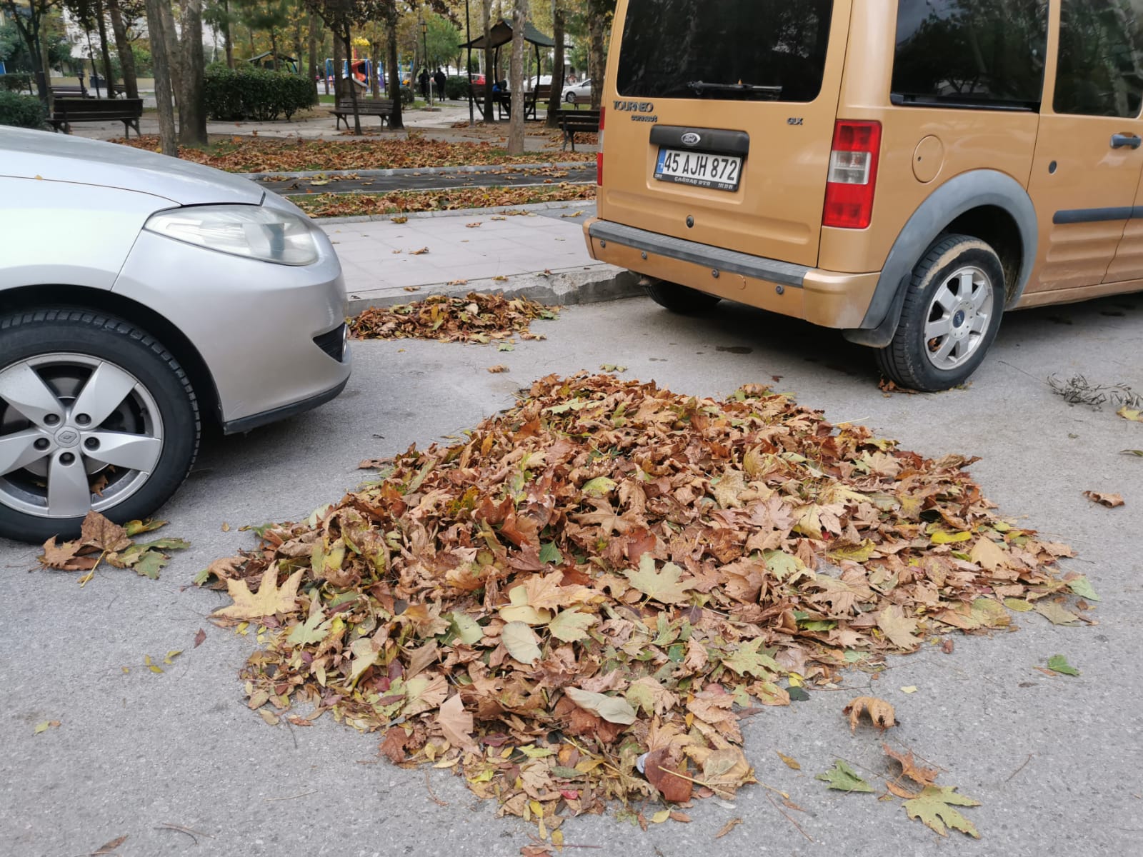 Rüzgar Ortaya Bu Görüntüleri Çıkardı (15)