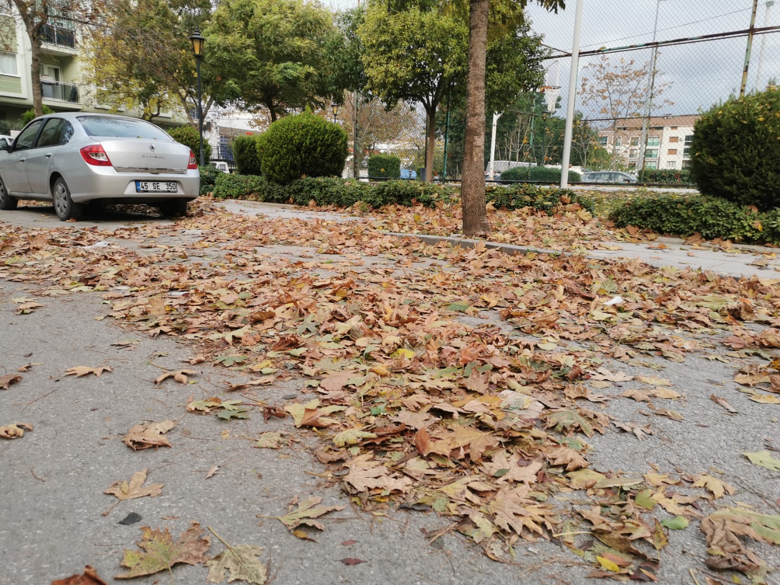 Rüzgar Ortaya Bu Görüntüleri Çıkardı (3)