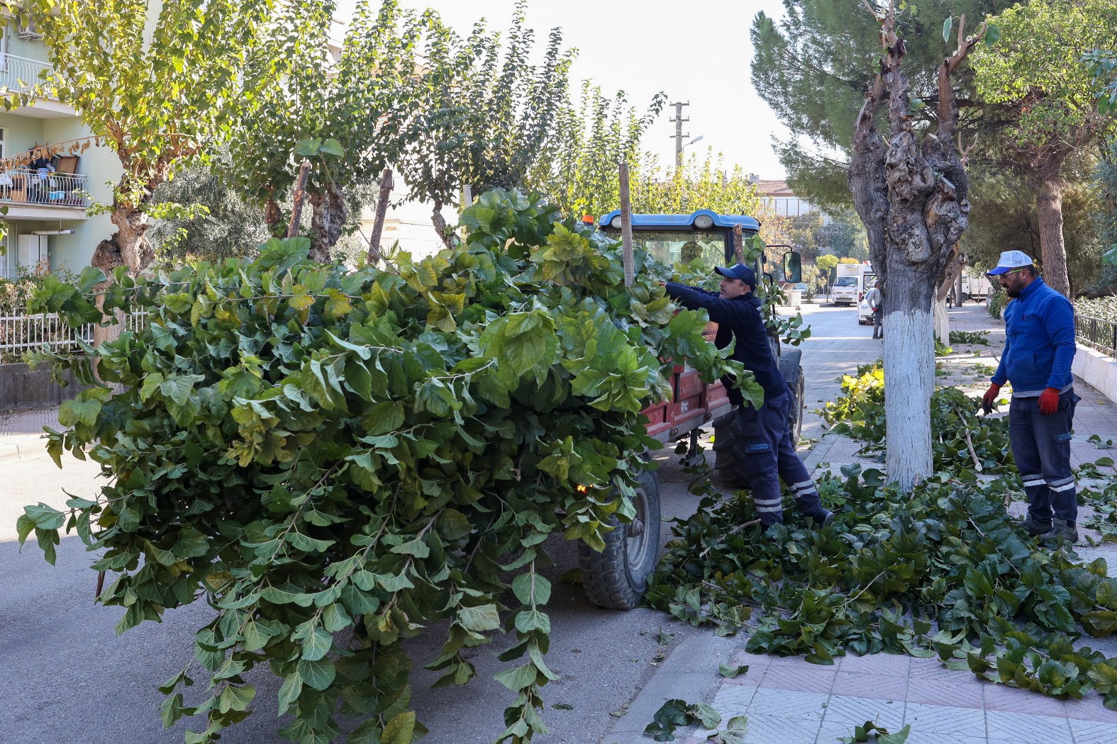 Yunusemre Belediyesi, Kış Aylarının (3)