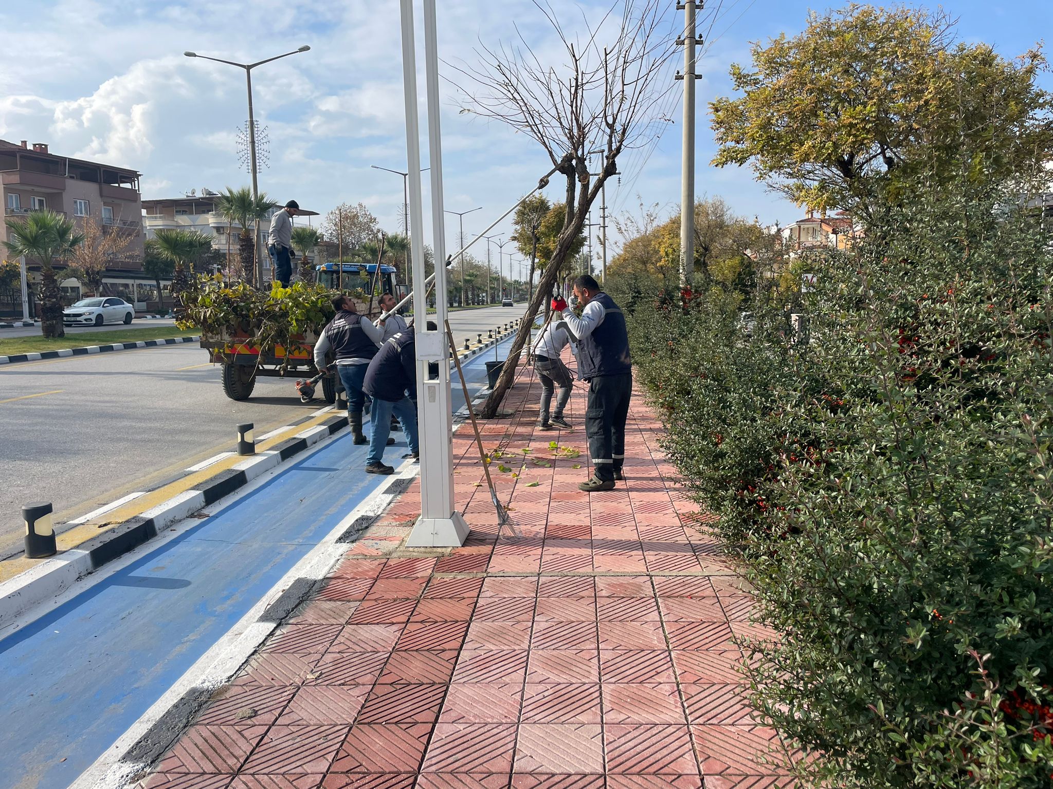 Büyükşehir Kent Genelinde Budama Çalışmalarına Devam Ediyor (1)