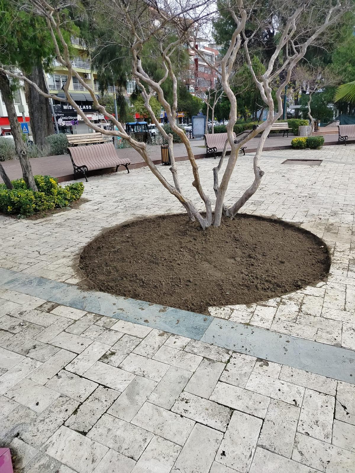 Büyükşehir'den Manisa'nın Yeşil Alanlarına Peyzaj Düzenlemesi (1) (1)