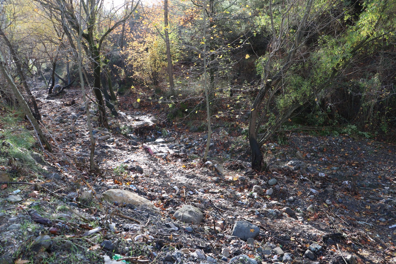 Dereleri Temizliyor, Taşkınlara Son Veriyoruz (14)