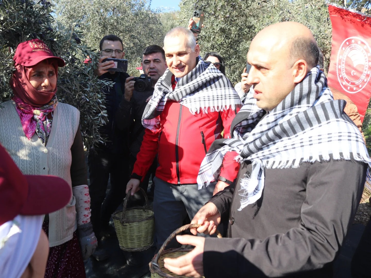 İl Müdürü Öztürk Akhisar’da Zeytin Hasadına Katıldı1