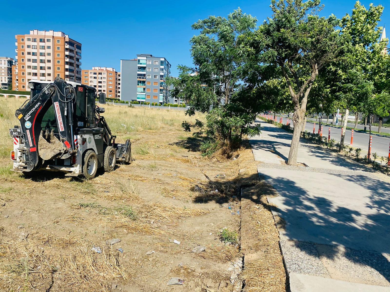 Manisa’da Yabani Ot Temizliği Çalışmaları Devam Ediyor (8)