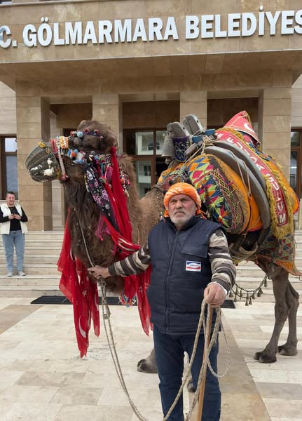 Gölmarmara’da Develer Sokaklarda Gezdi! (2)