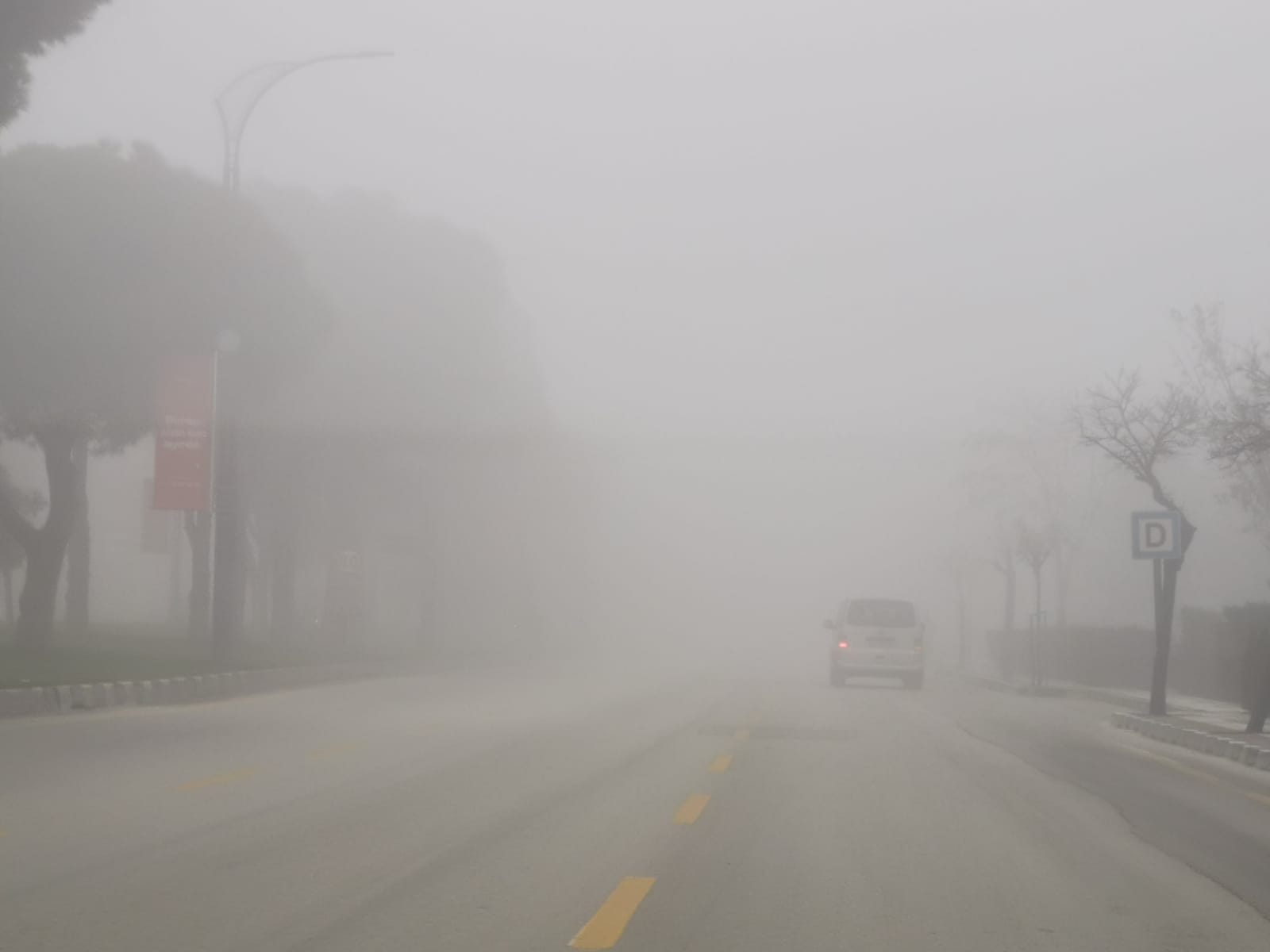 Sisli Bir Gün (1)