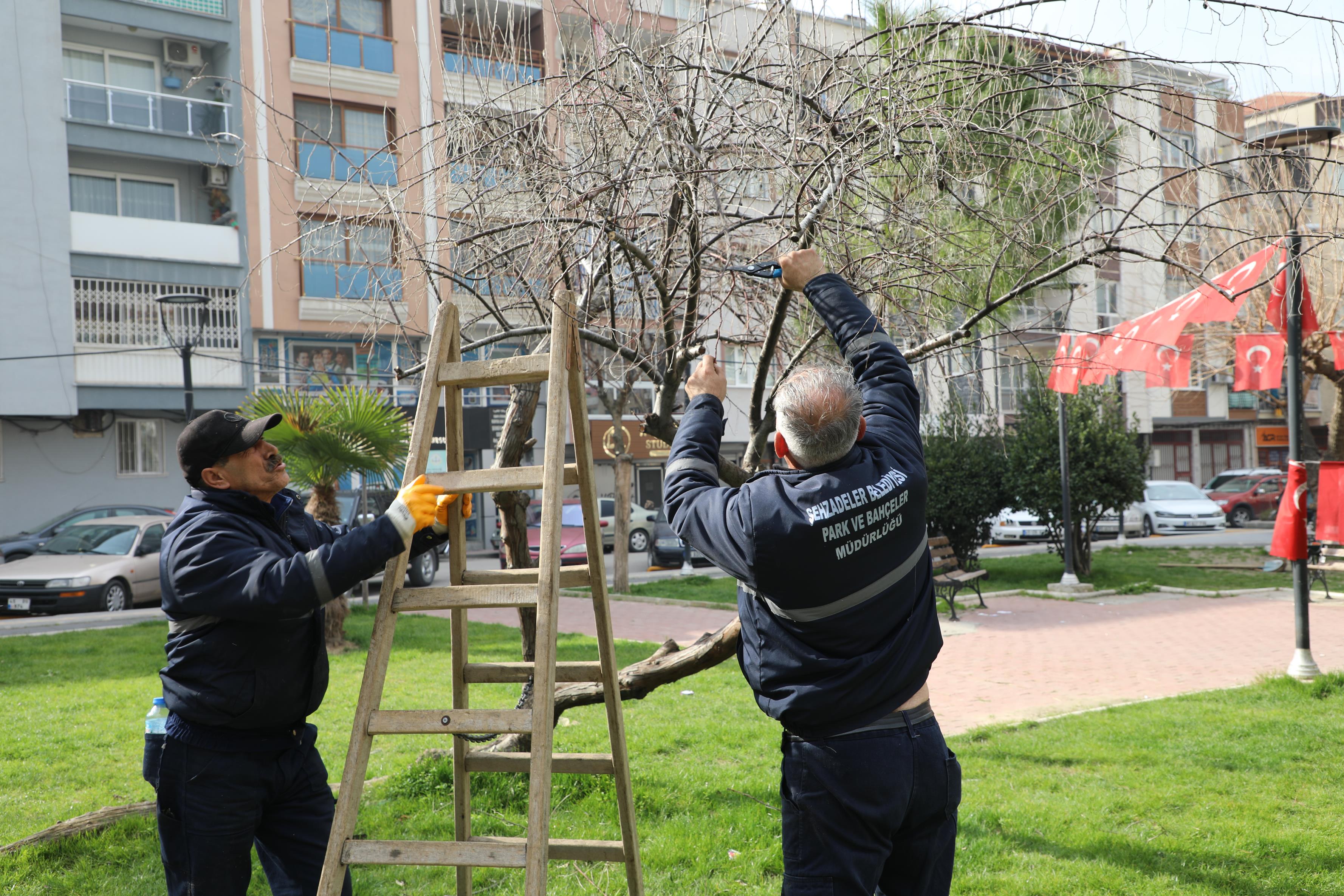 Şehzadeler Güzelleşmeye Devam Ediyor (1)