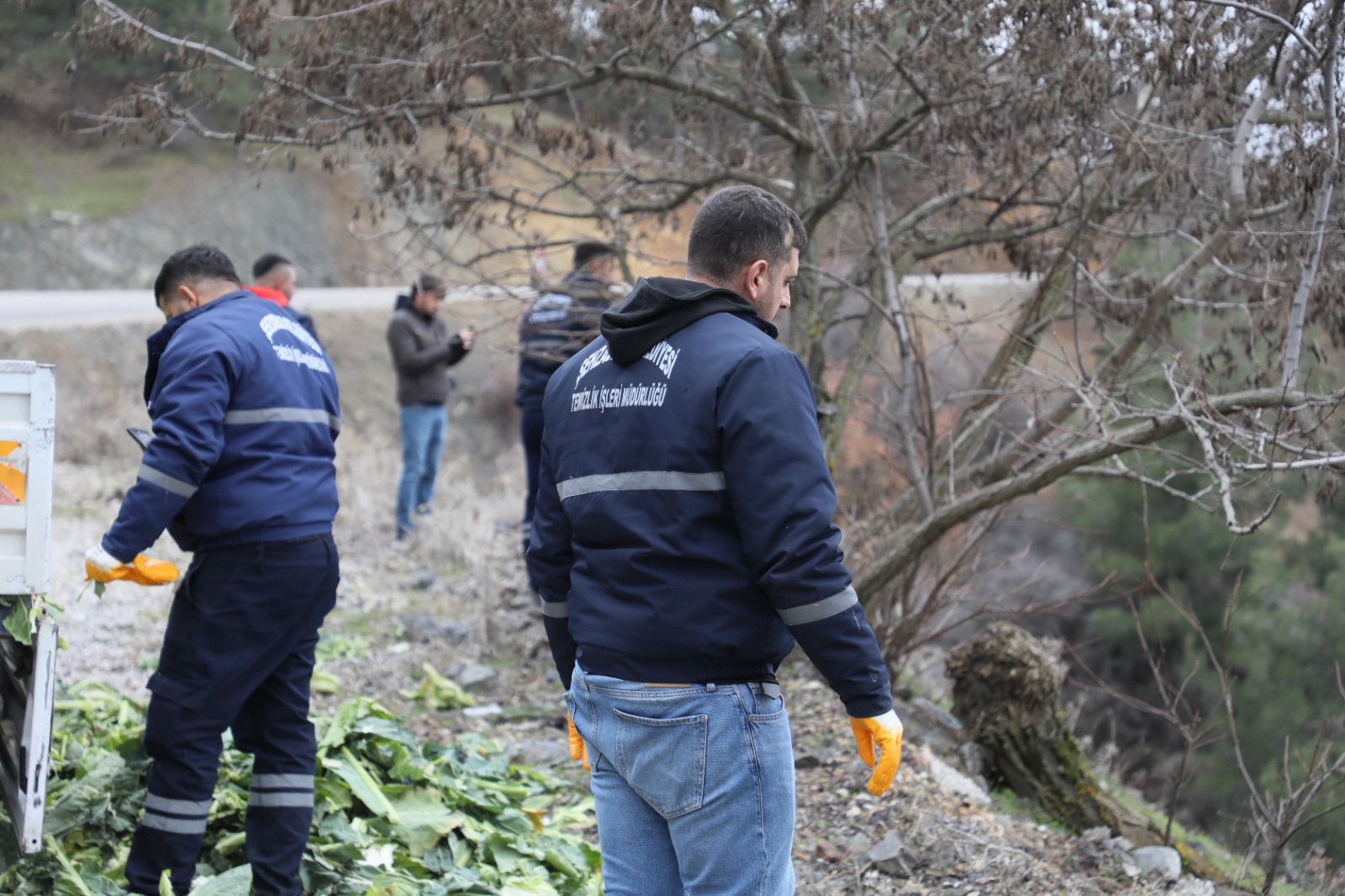 Şehzadelerden Yılkı Atlarına Kış Destegi (1)