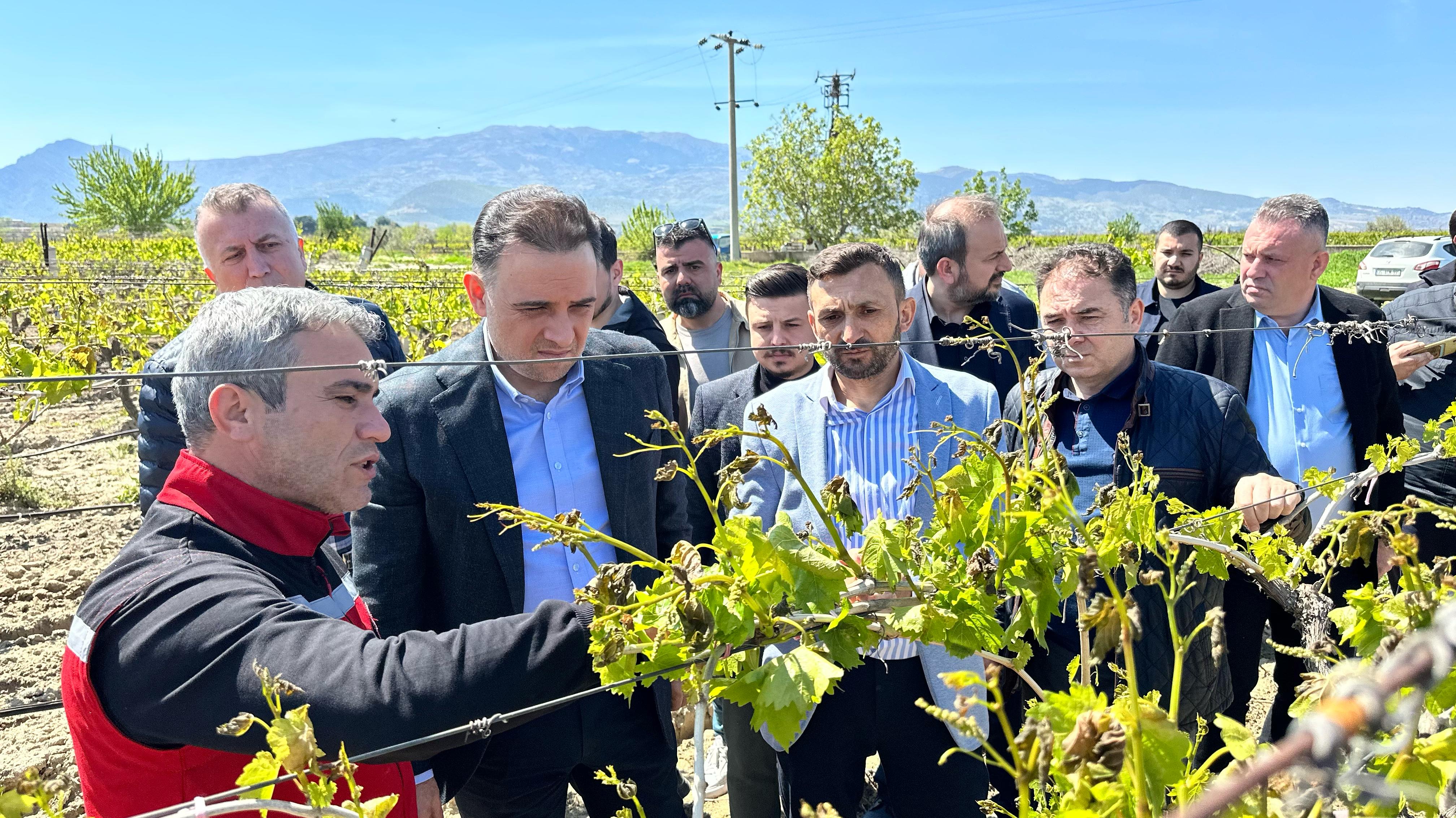 Ak Parti (5)