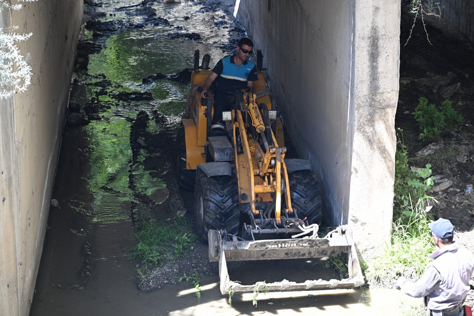 Bozköy Deresi Hayat Buluyor (6)