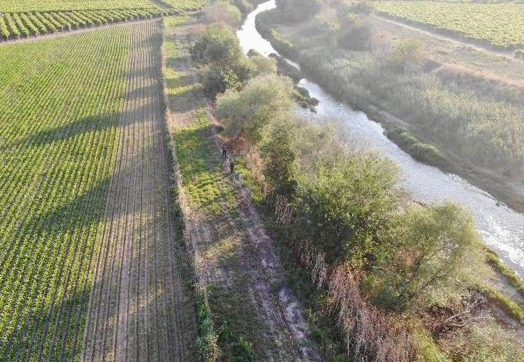 Manisa'da Yasadışı Kenevir Ekim Alanlarına Sıkı Denetim Jandarma Havadan Ve Karadan Kontrolü Artırdı (1)