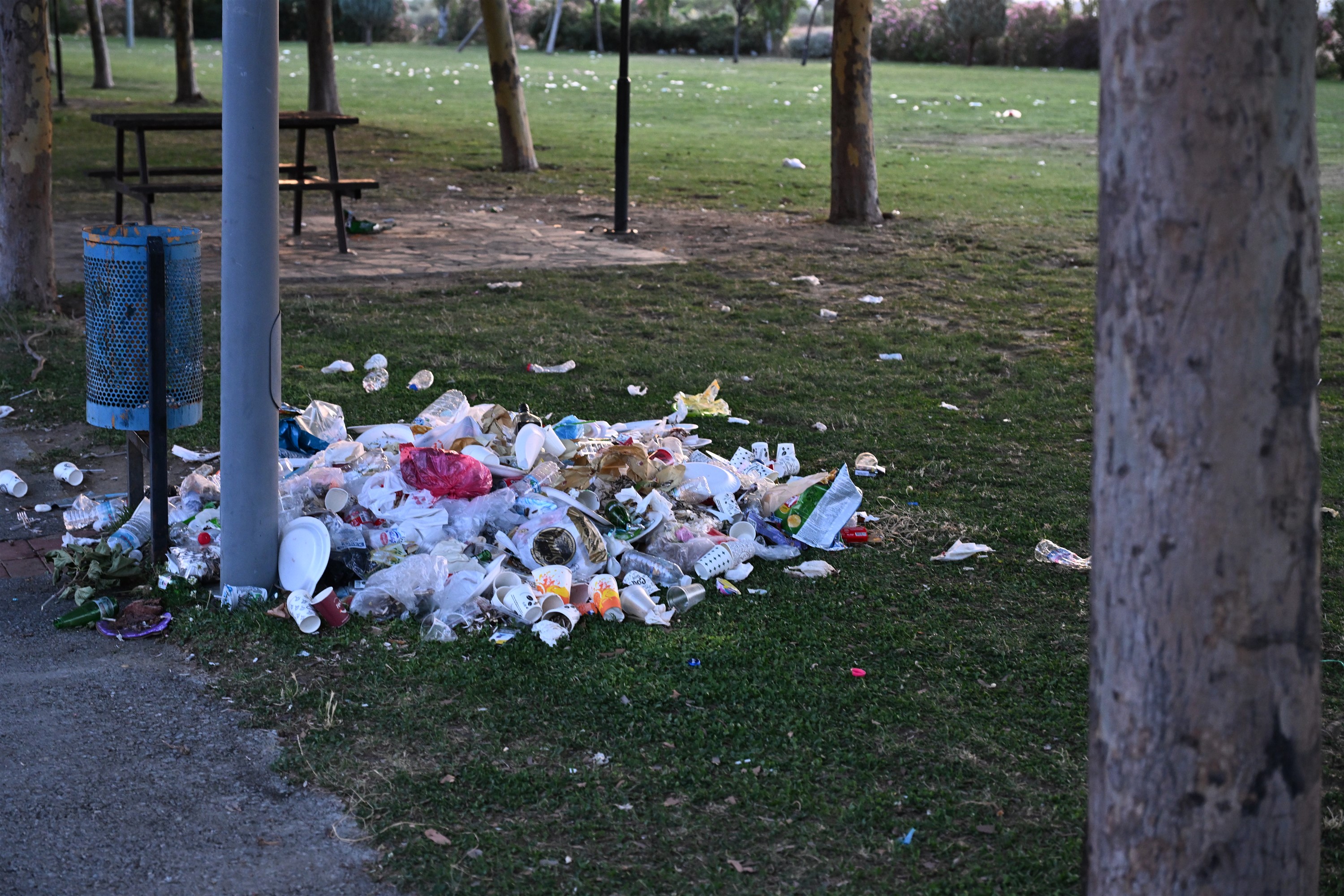Piknik Alanlarında Temizlik Çalışması (6)