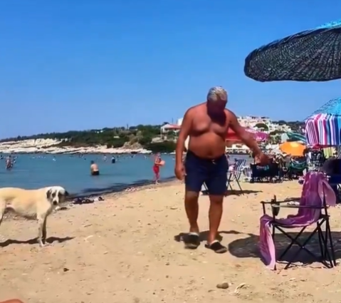 Ekran Görüntüsü 2025 07 25 095509