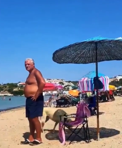 Ekran Görüntüsü 2025 07 25 095542