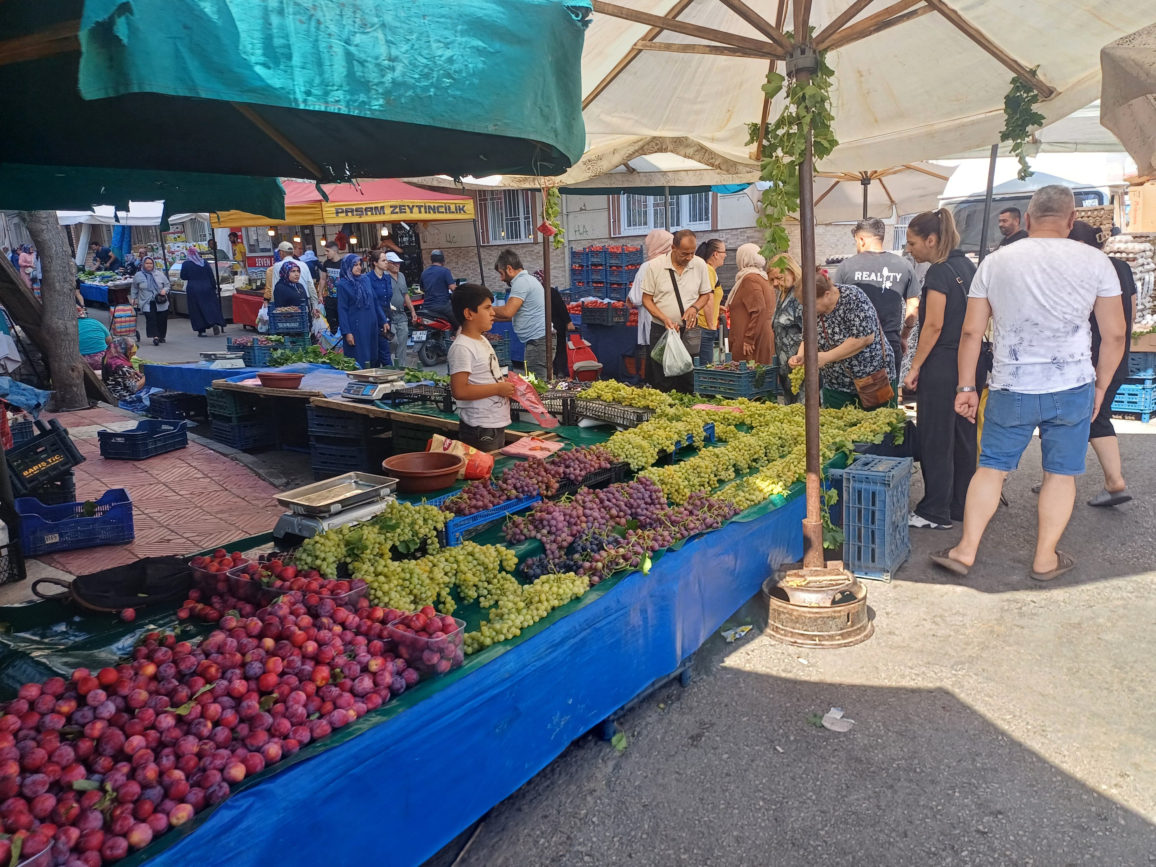 Manisa'da Limon Ateş Pahası 5 Ayda Fiyatı 10 Katına Çıktı! (3)