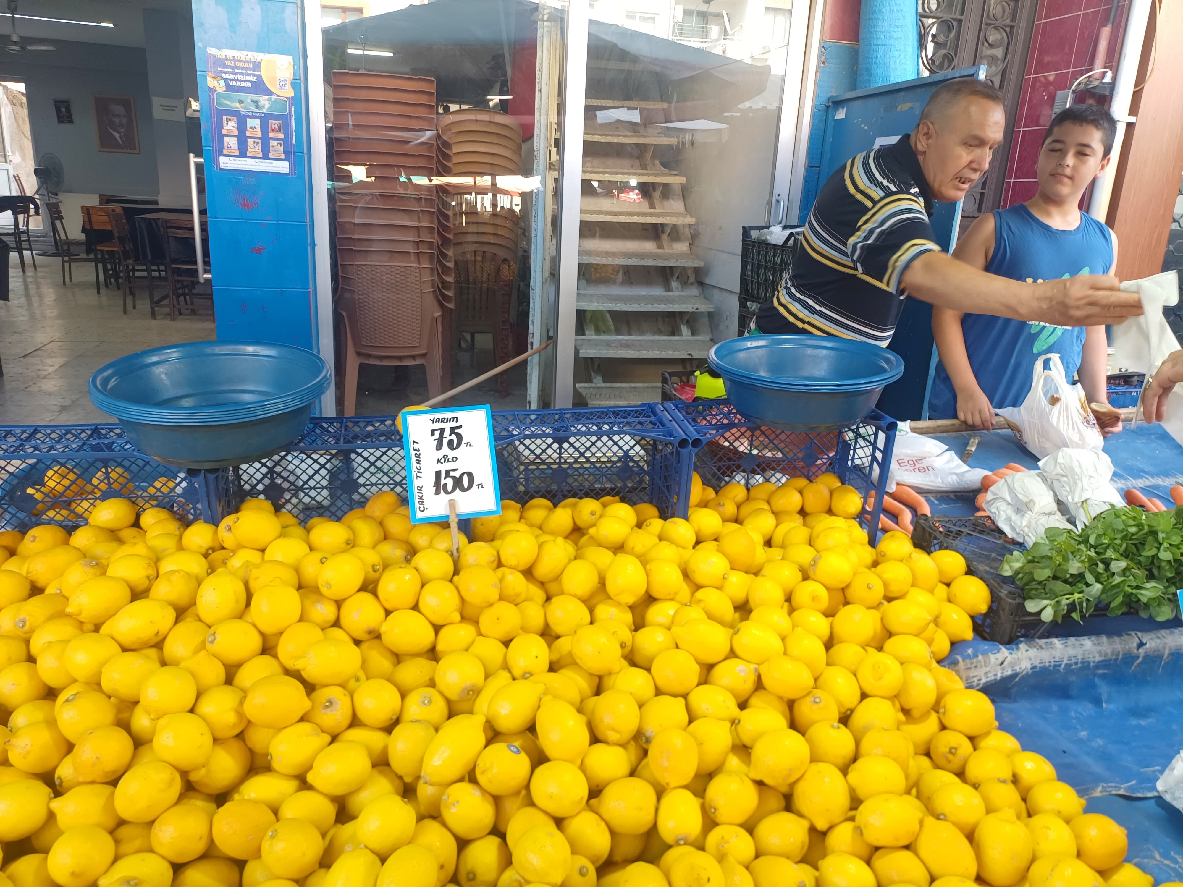 Manisa'da Limon Ateş Pahası 5 Ayda Fiyatı 10 Katına Çıktı! (5)