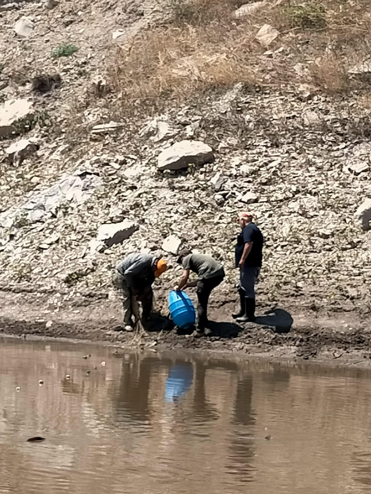 Soma’da Balıklar Için Örnek Seferberlik Kuruyan Göletten Yaşam Kurtarıldı (2)