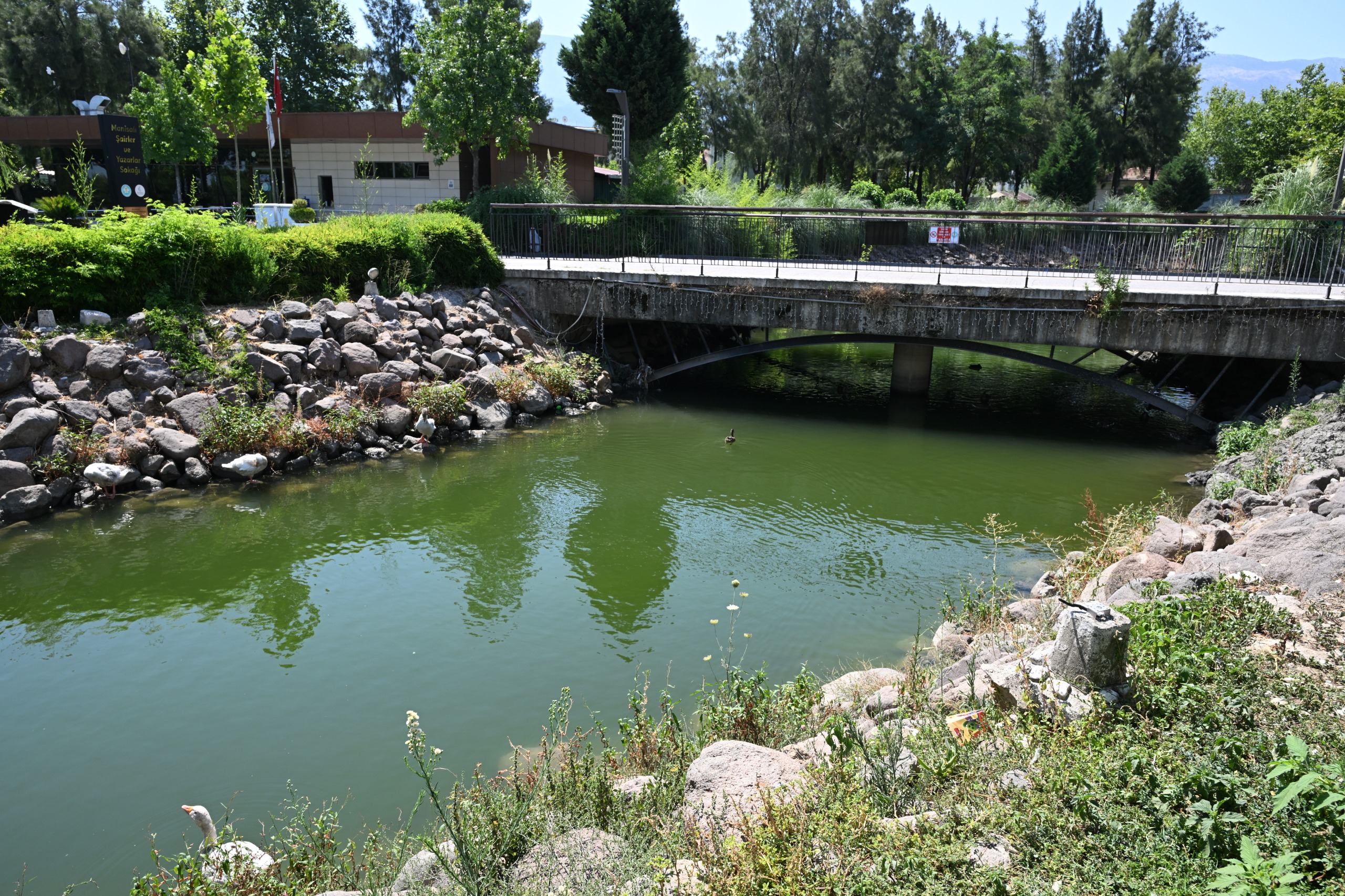Maski̇’den Atatürk Kent Parkı’ndaki Derede Temizlik Çalışması (14).Jpeg