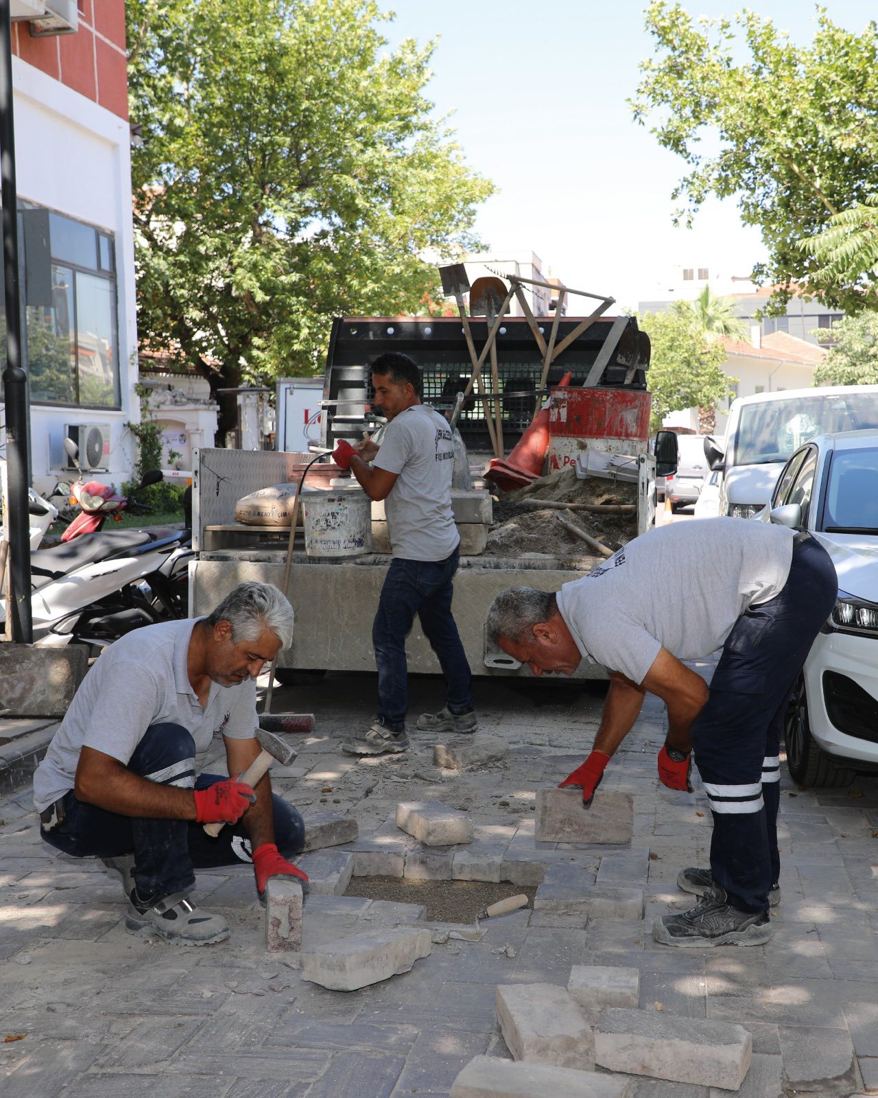 Şehzadeler 2
