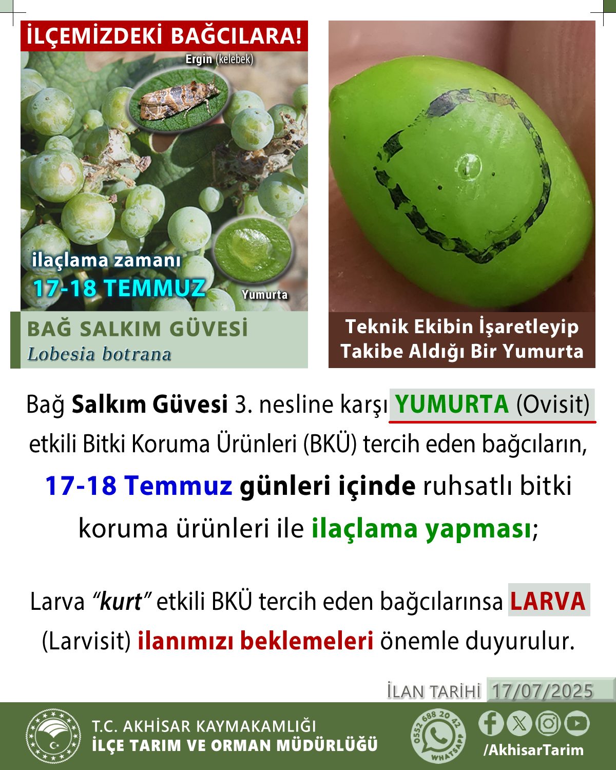 Tarım