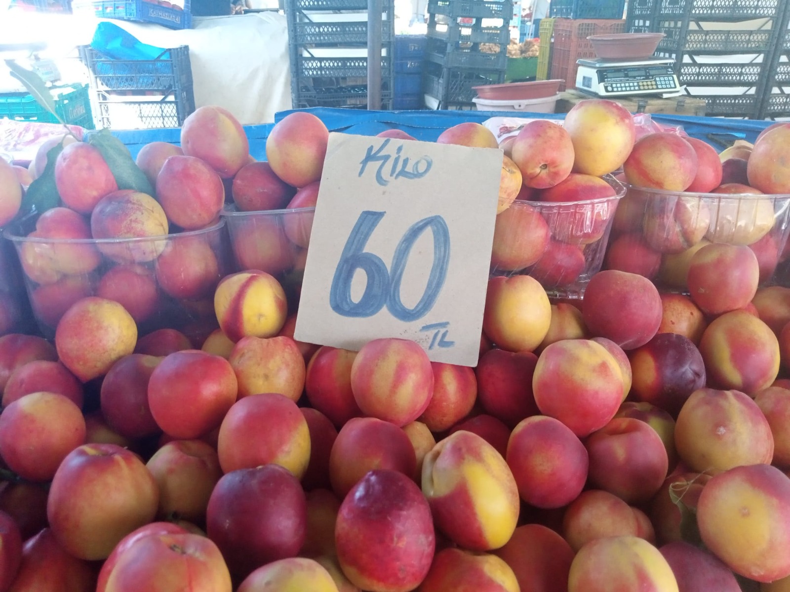 Manisa’da Yaz Meyveleri Fiyatlarıyla Şok Etti! (1)