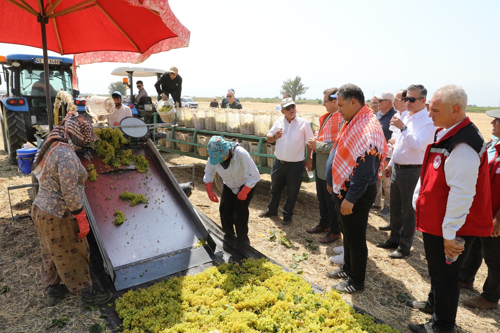 Türkiye’nin Üzümü Manisa’dan (6)