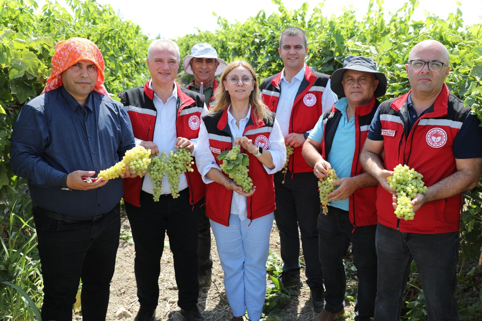 Türkiye’nin Üzümü Manisa’dan (8)