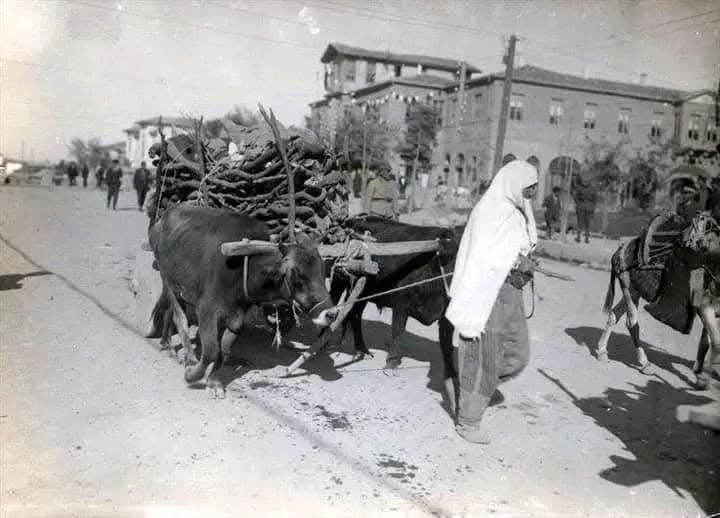 Ünlü Mektupta Manisa Detayı Çarpıcı Anadolu Tasviri (1)