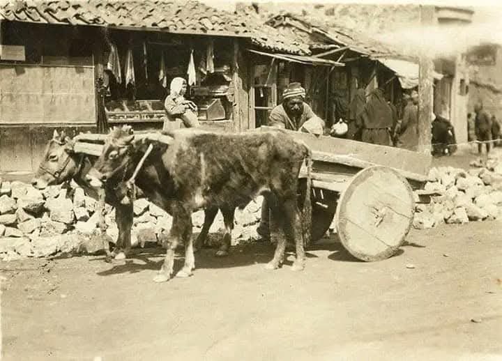 Ünlü Mektupta Manisa Detayı Çarpıcı Anadolu Tasviri (3)
