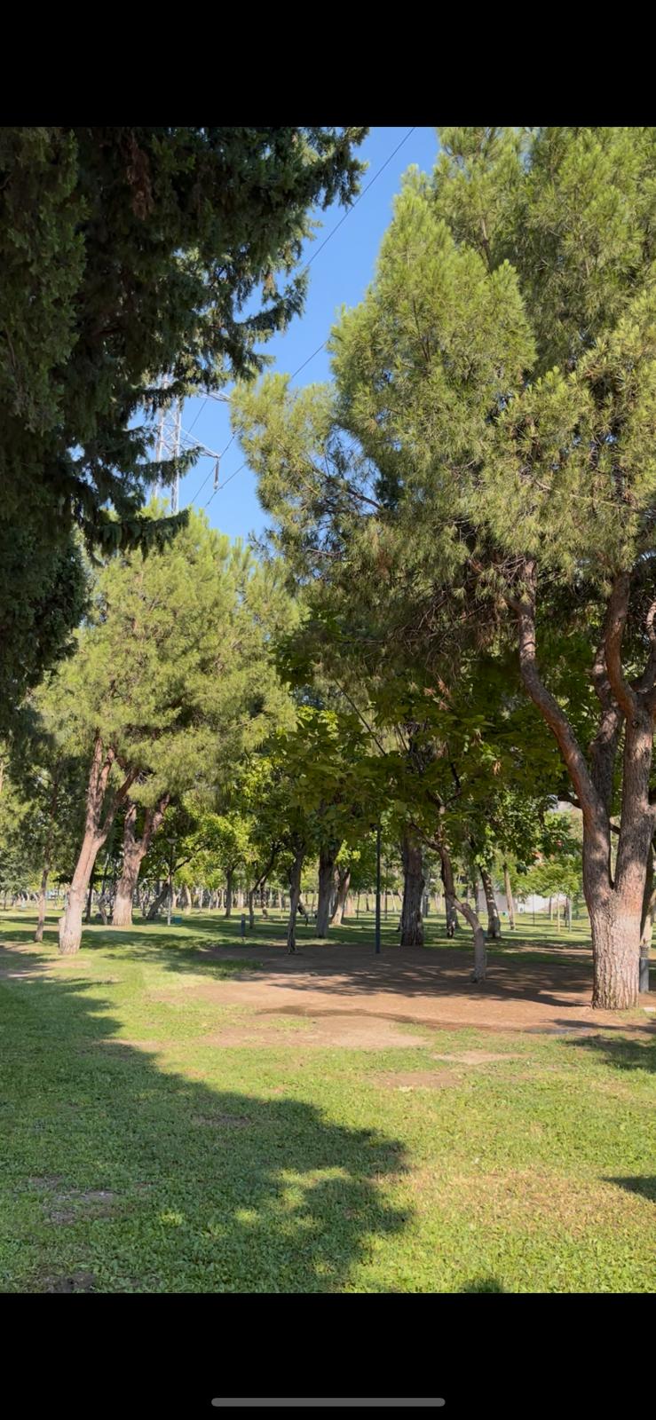 Whatsapp Image 2025 08 06 At 14.57.54 (1)