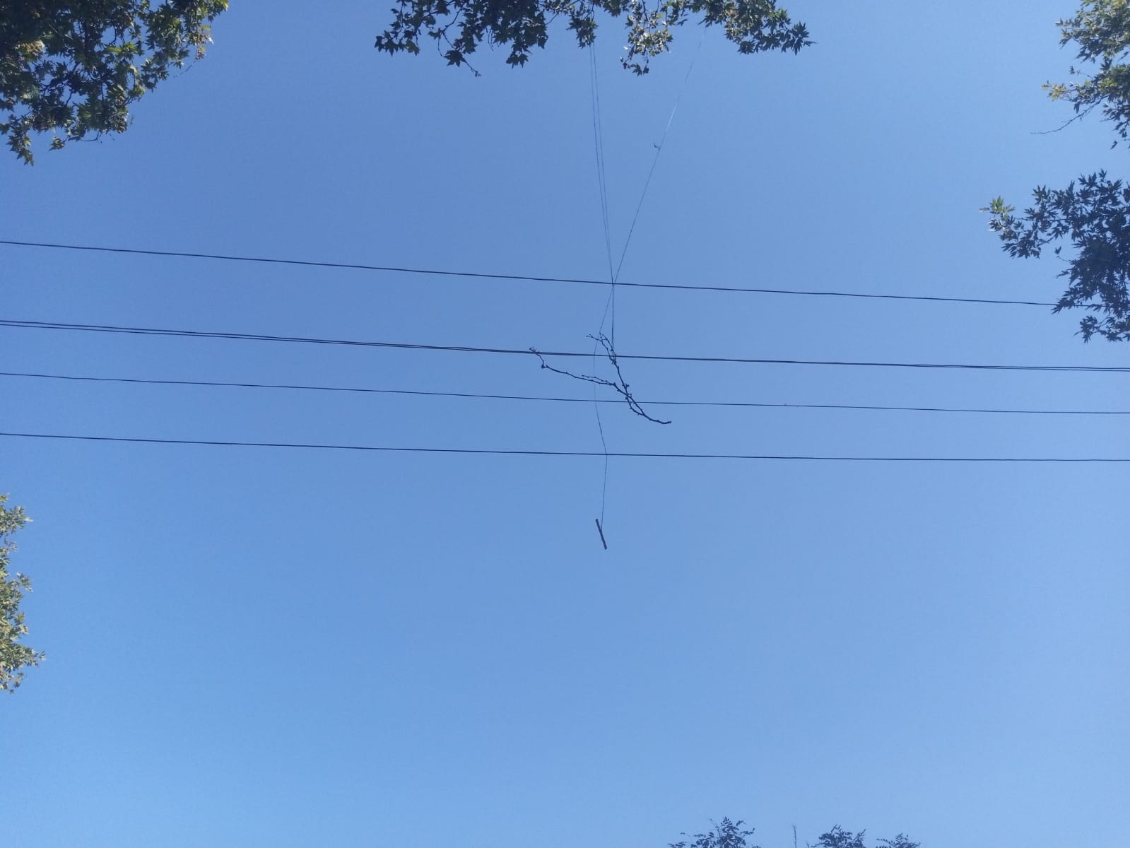 Whatsapp Image 2025 08 19 At 14.37.35 (1)