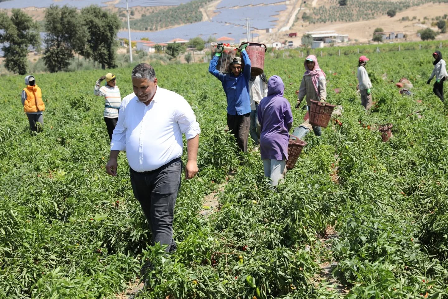 Whatsapp Image 2025 08 22 At 11.53.02 (4)