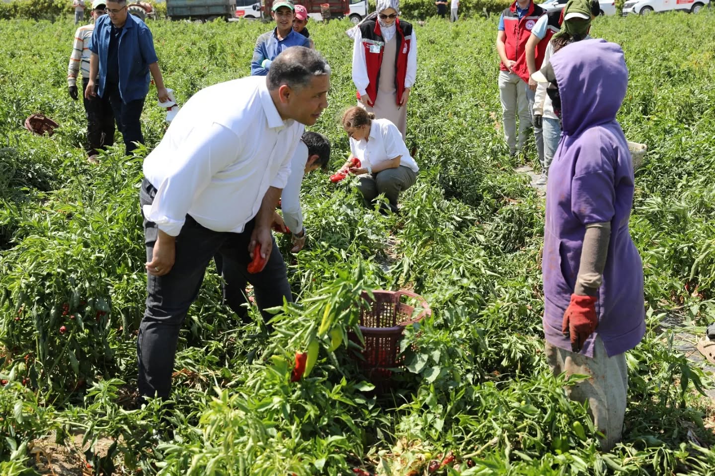 Whatsapp Image 2025 08 22 At 11.53.03