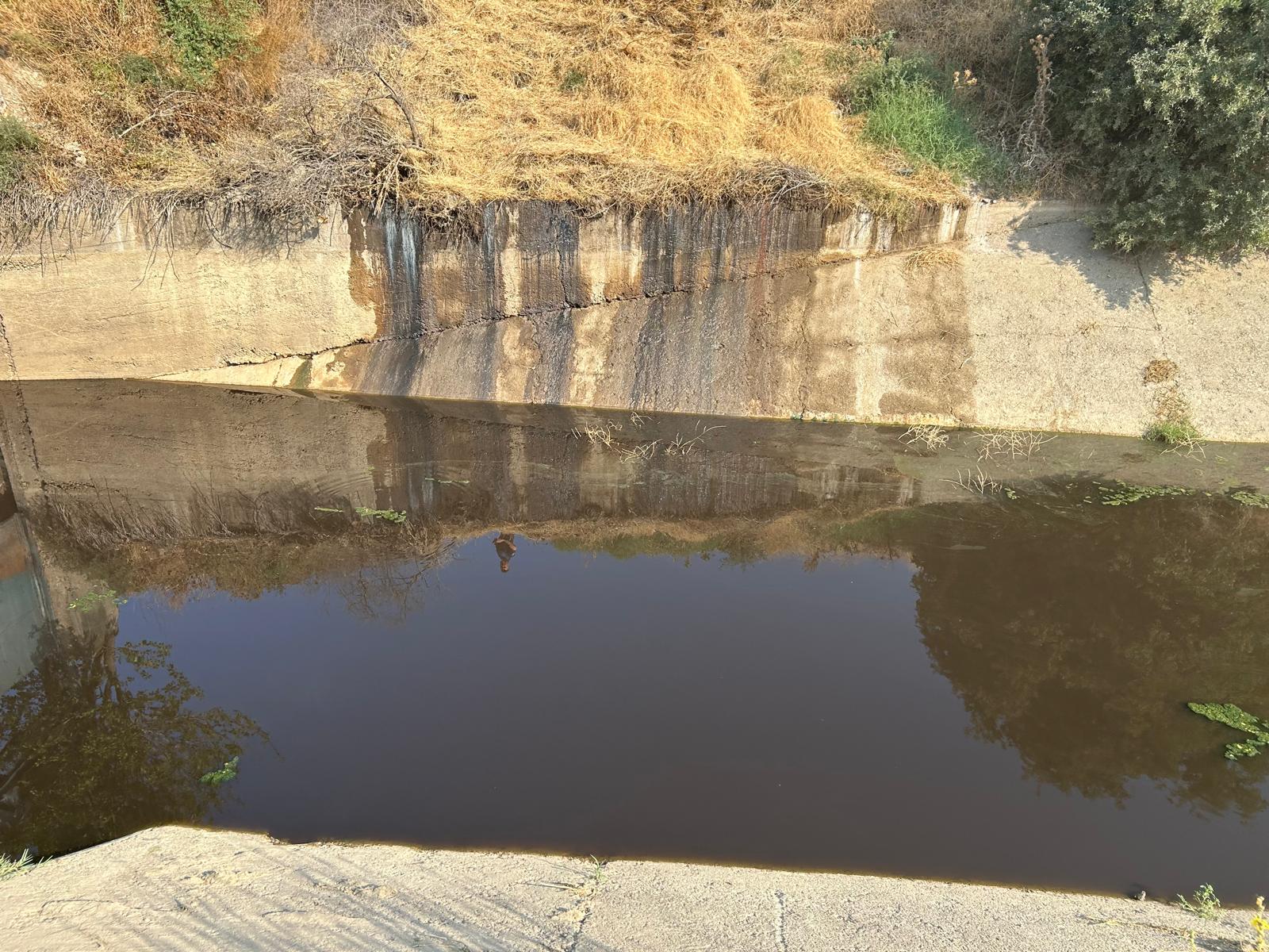 Büyükşehir Doğa Için Nöbette (2)
