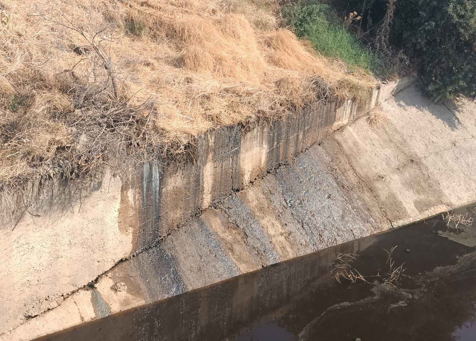 Büyükşehir Doğa Için Nöbette (5)