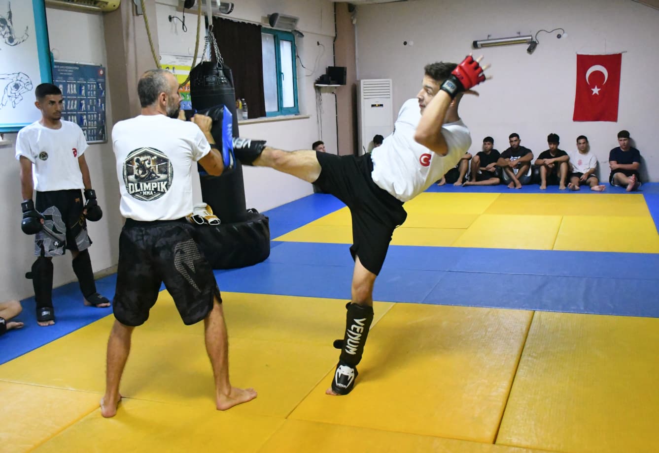 I M G 20250815 W A0042