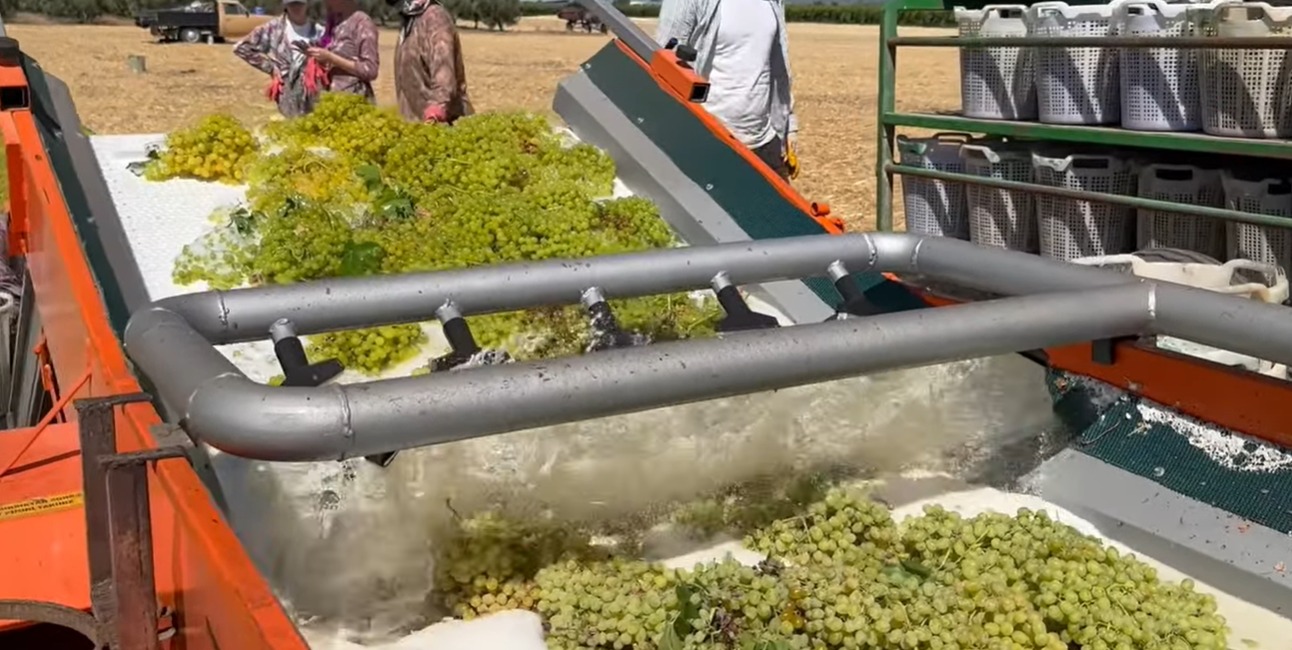 I M G 20250823 W A0002