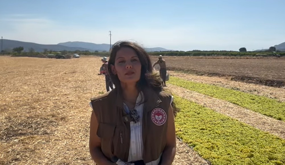 I M G 20250823 W A0003