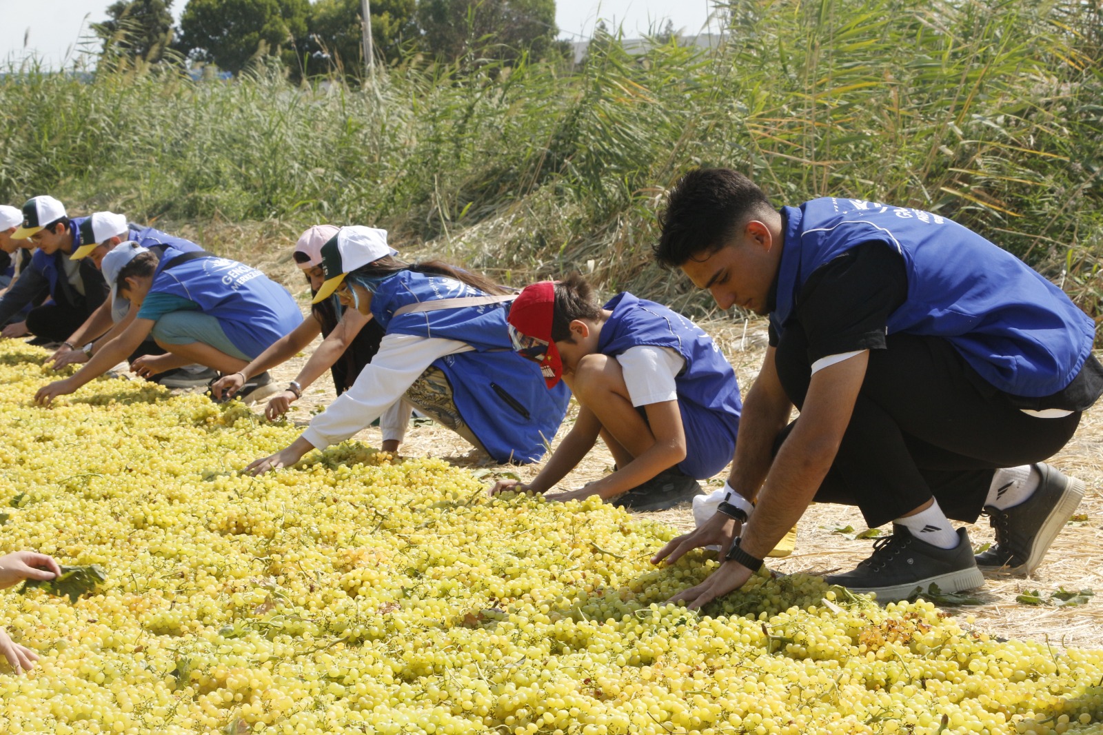 I M G 20250828 W A0031