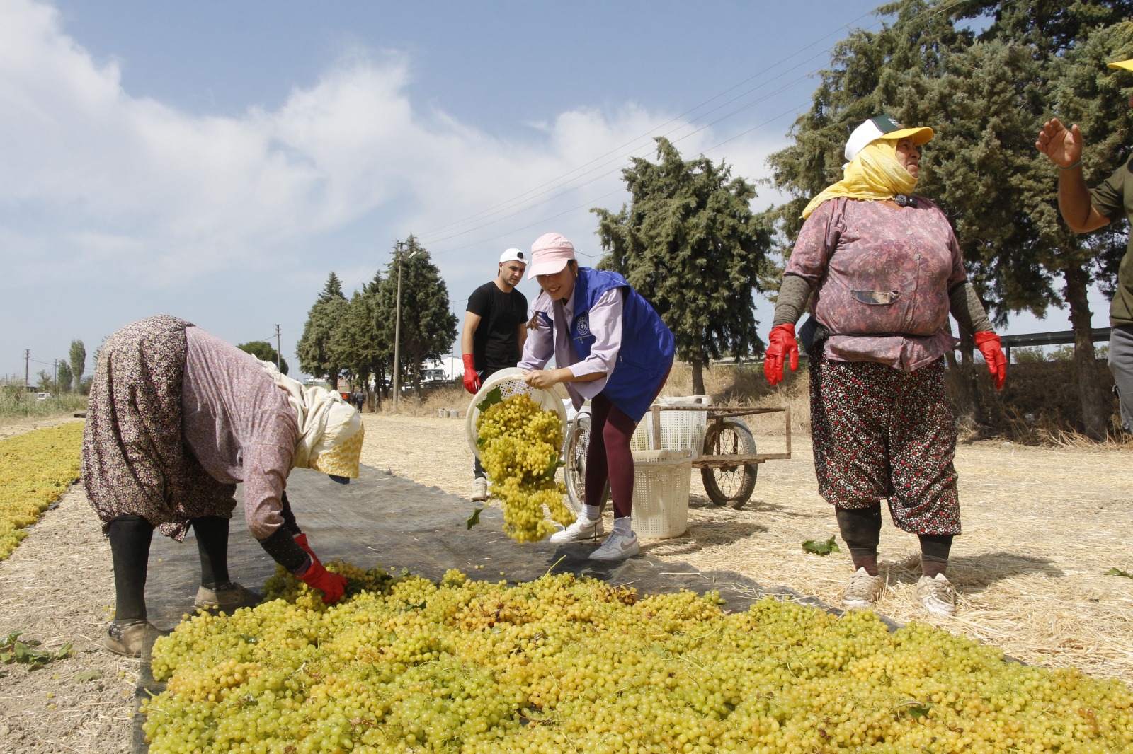 I M G 20250828 W A0040